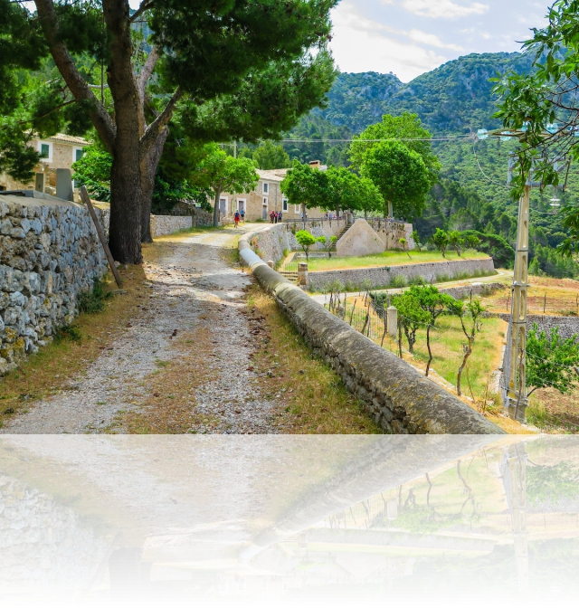 Llegando a la finca de Planícia