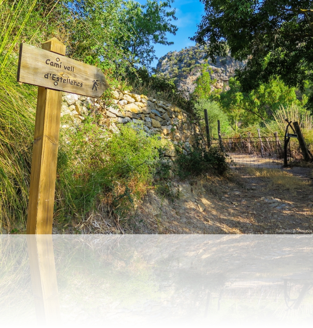 Camí vell d'Estellencs