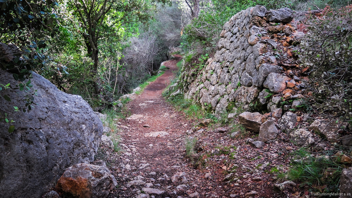 Camí de Castelló