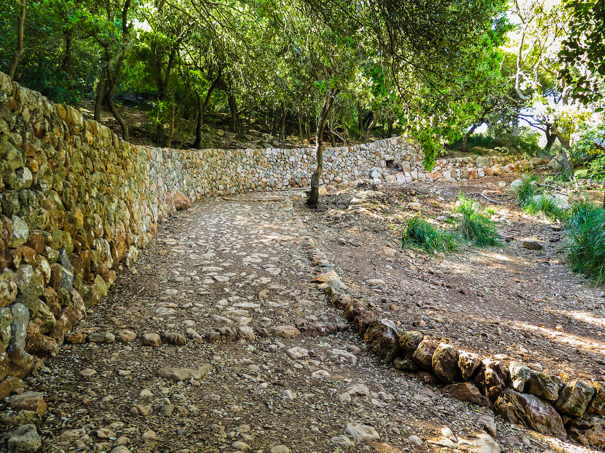 Camí des Correu - GR221, zona restaurada