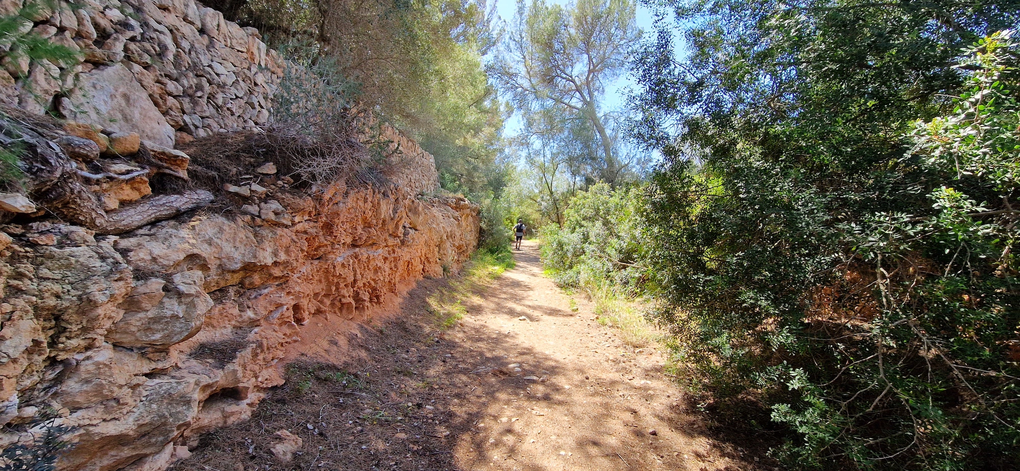 Vía verde del antiguo trazado del ferrocarril de Palma a Santanyí