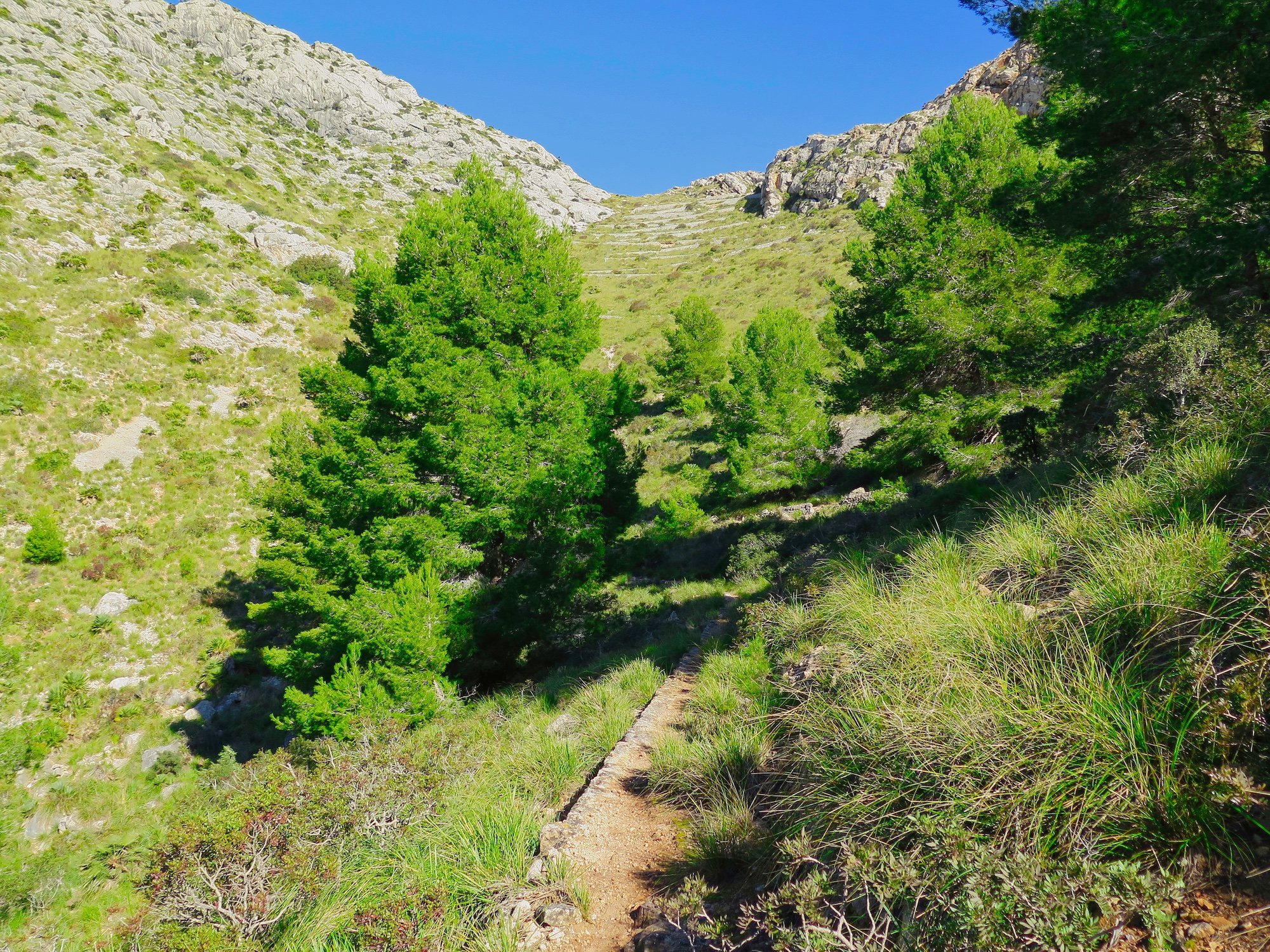 camí Vell del Far de Formentor