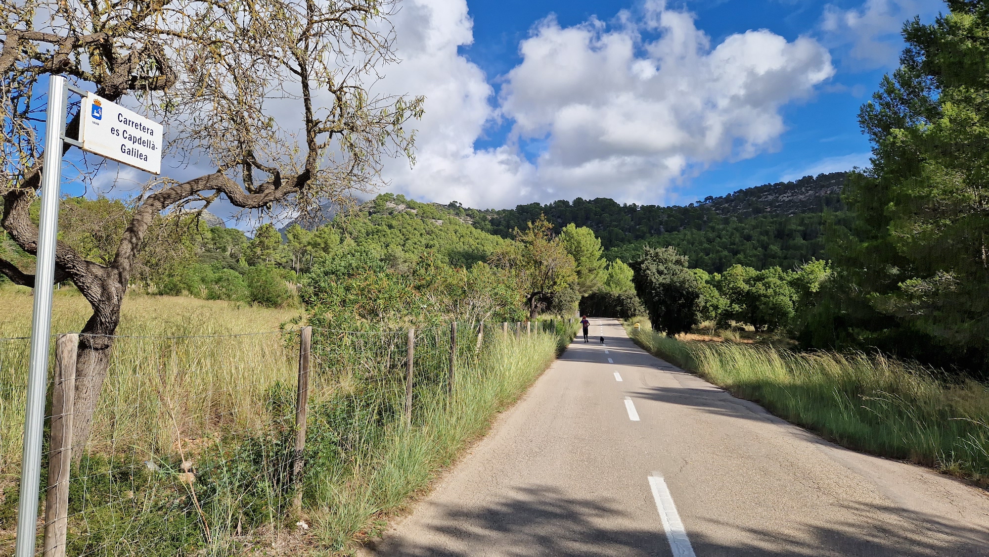 Carretera de Es Capdellà a Galilea