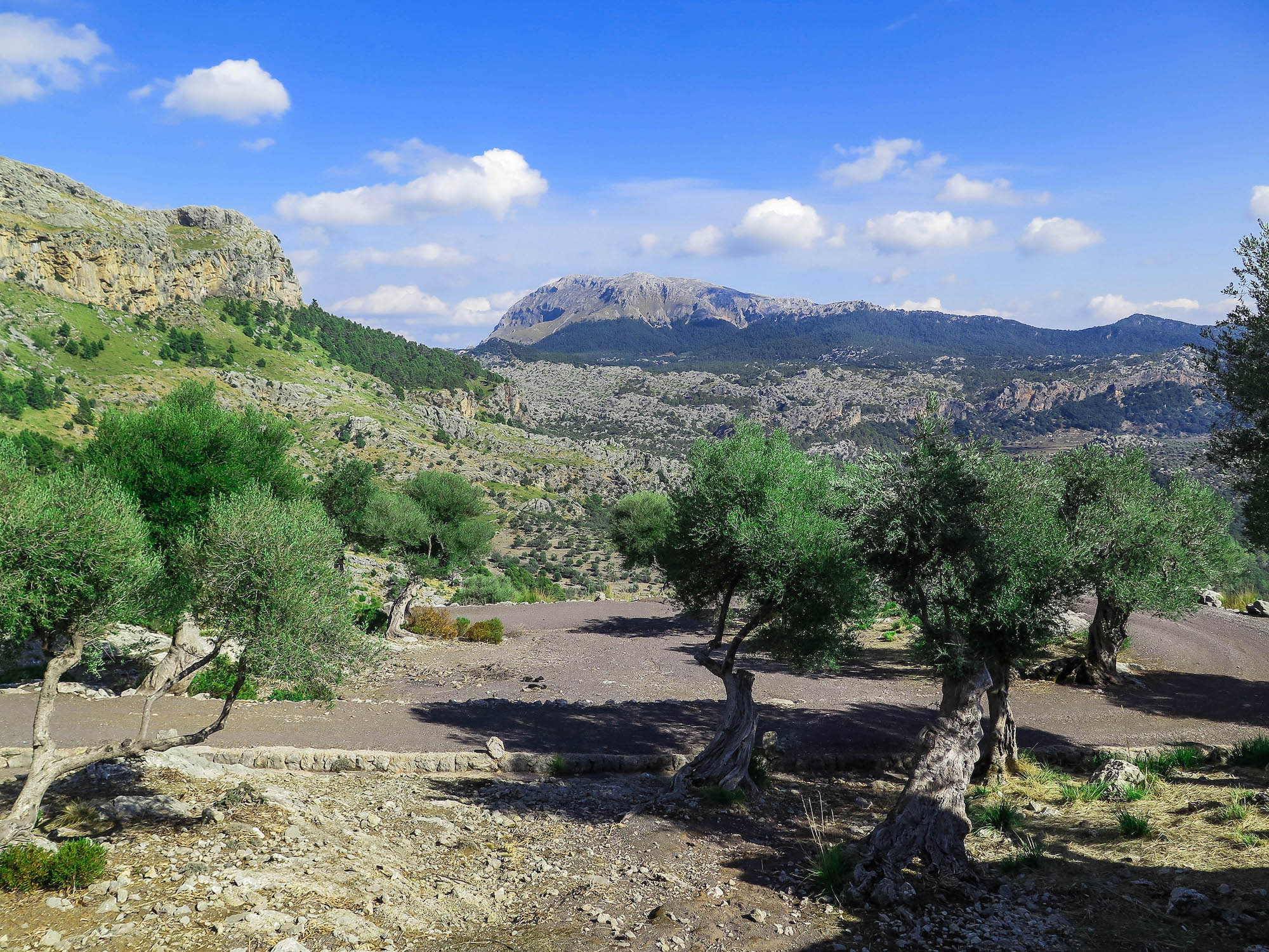 Descenso hacia el Clot d'Albarca
