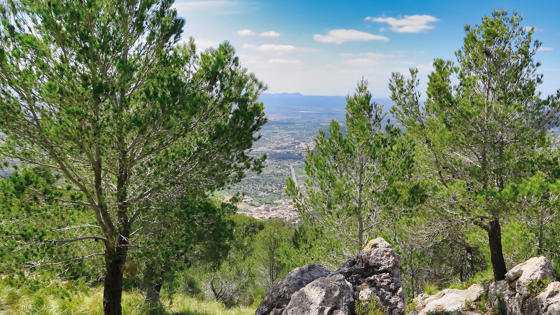 Bonitas vistas desde la cima del Puig dels Albellons.
