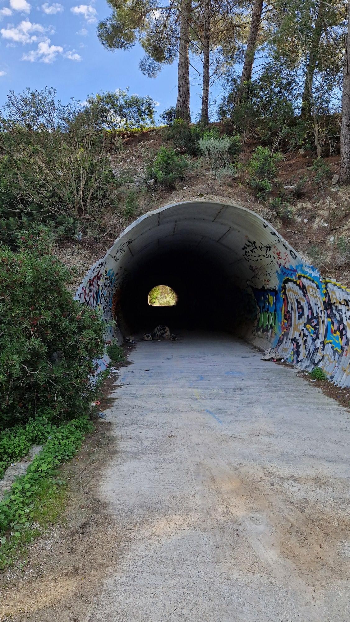 Túnel de la autopista