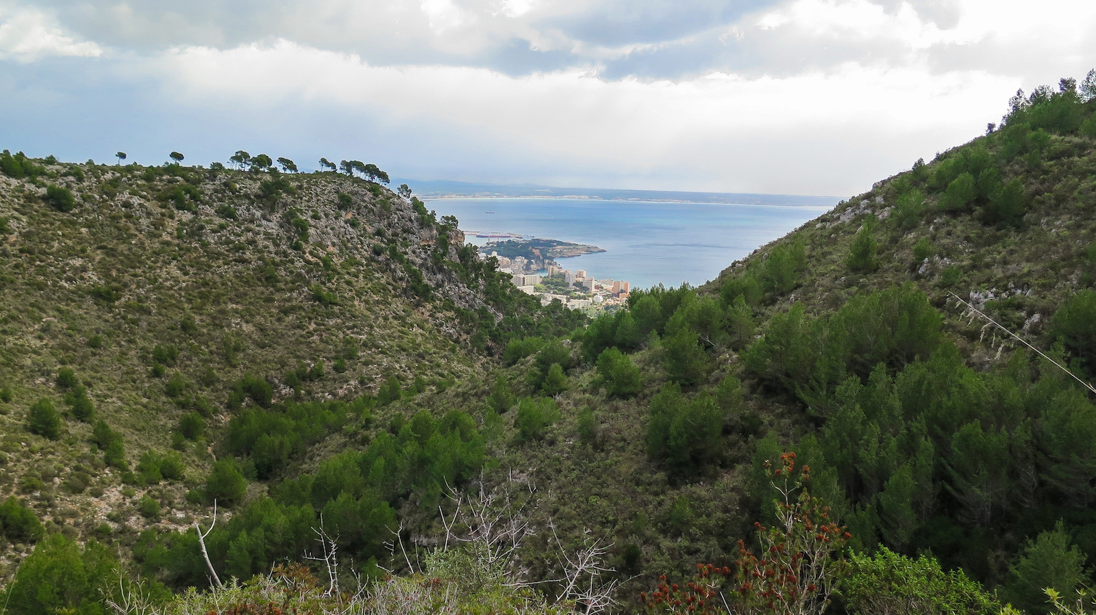 Primeras vistas de la Bahía de Palma