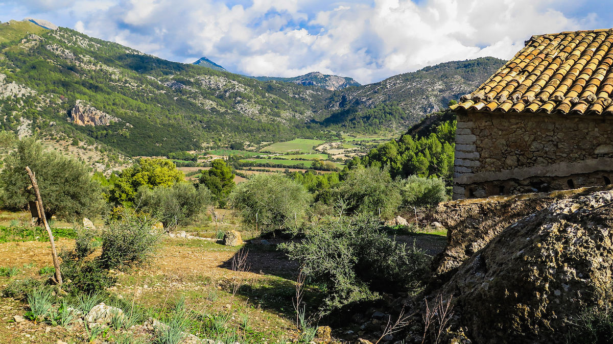 Vuelta al Puig de Sant Miquel por el Clot d'Almadrà