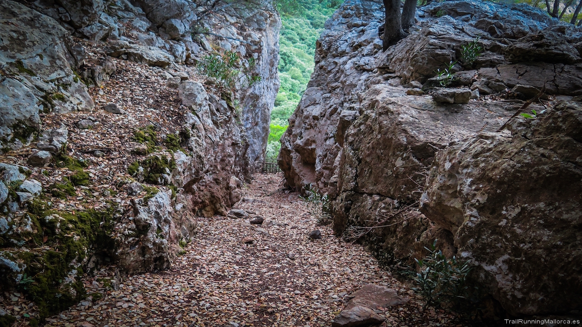 Volta Puig de s'Alqueria (sa Gubia), Pas de sa Fesa