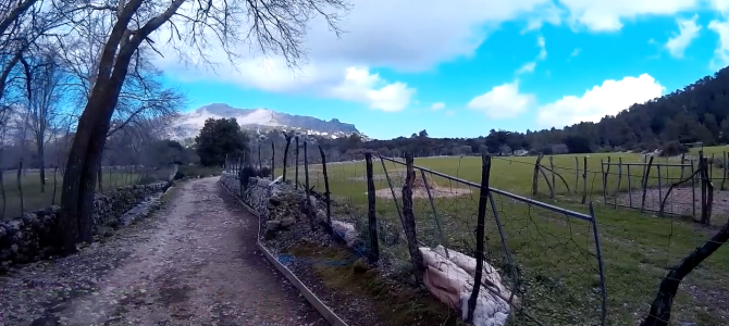 Vuelta a la Moleta de Binifaldó desde Caimari