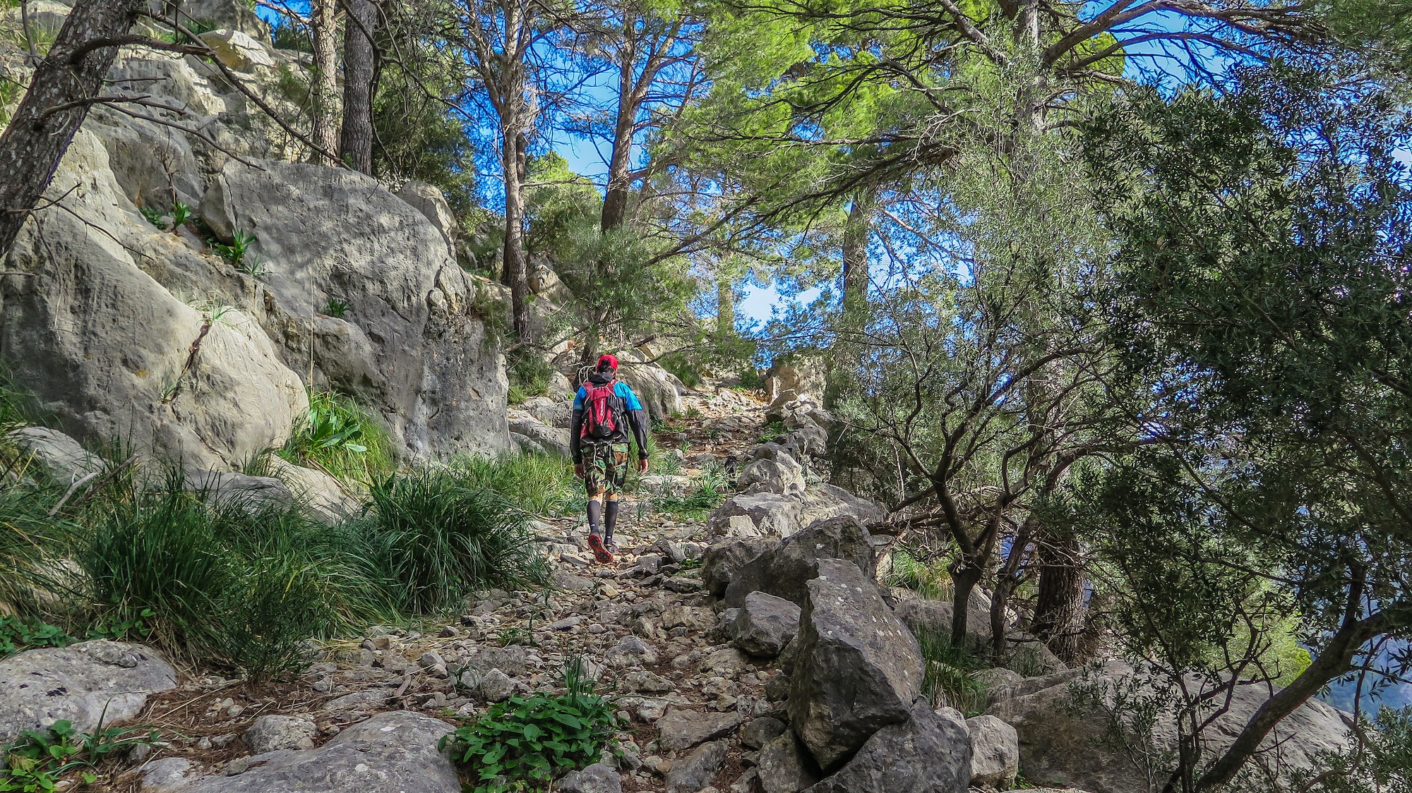 Pas de s'Ullastre i Pas des Pi por el Camí des Metro y Racó den Barona