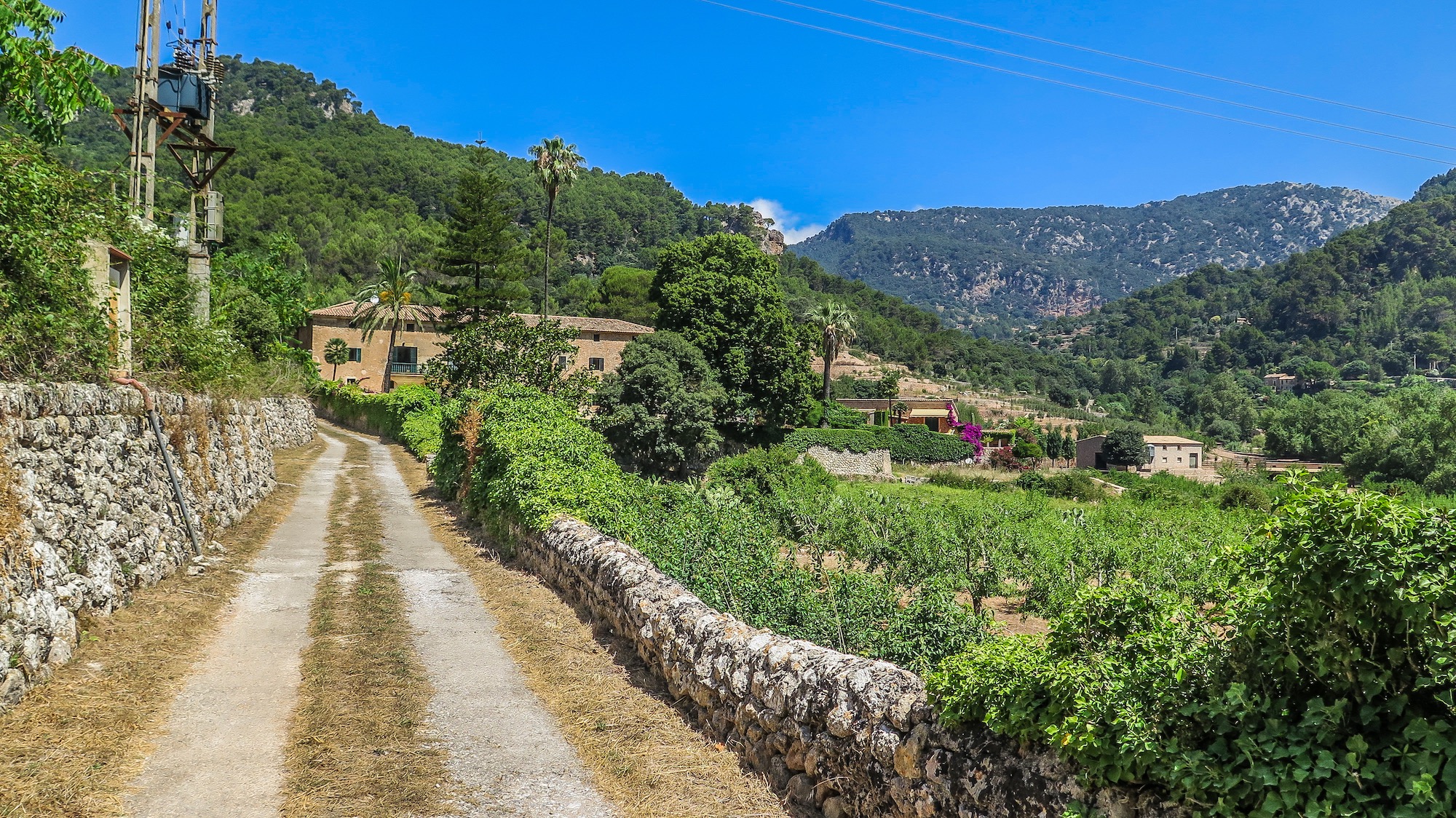 Estret Valldemossa, Puig des Boixos, Font dels Òbits y Son Brondo