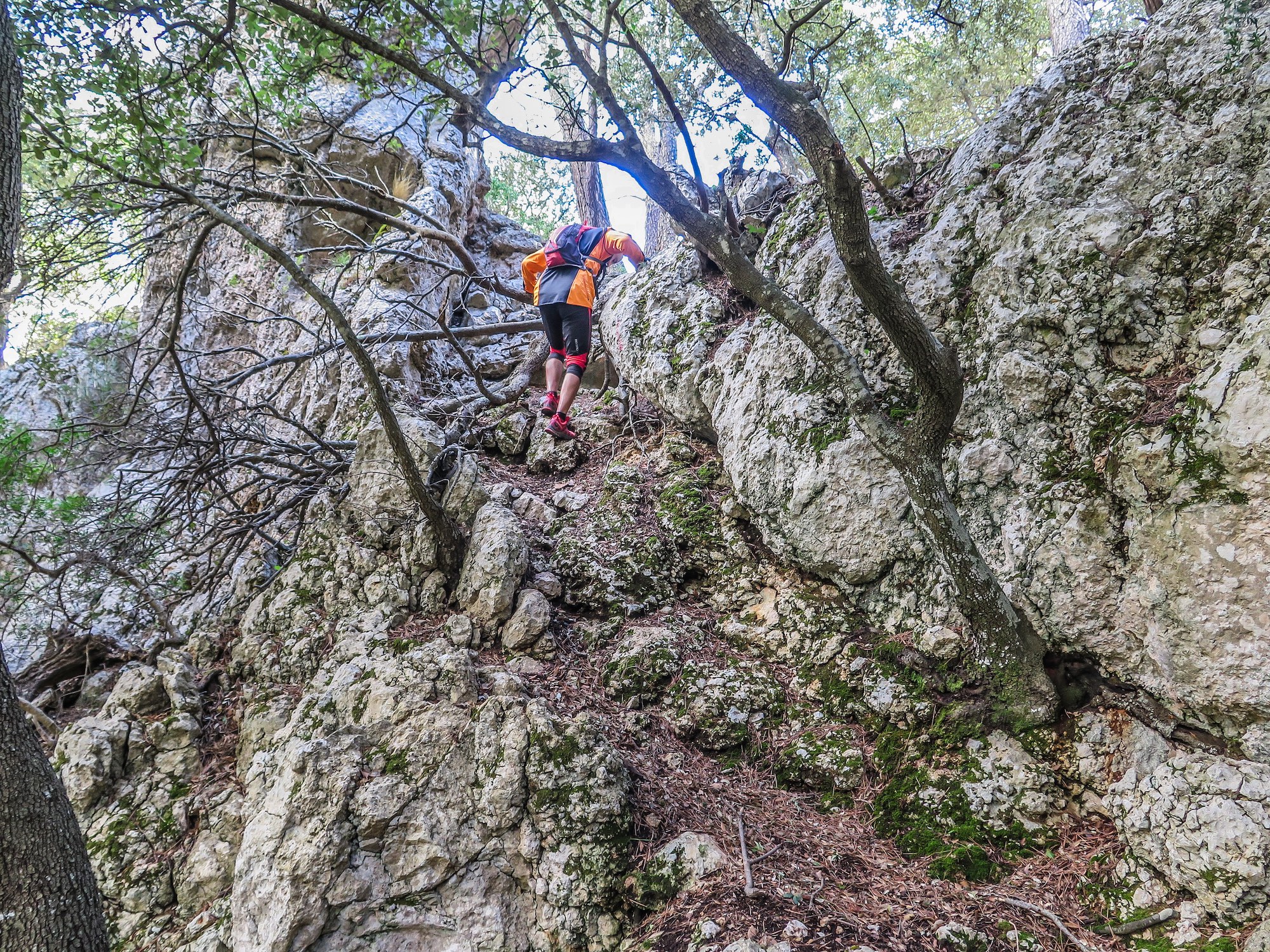 Pas de Ca'n Morro (Comuna de Bunyola y Vall de Coanegra)