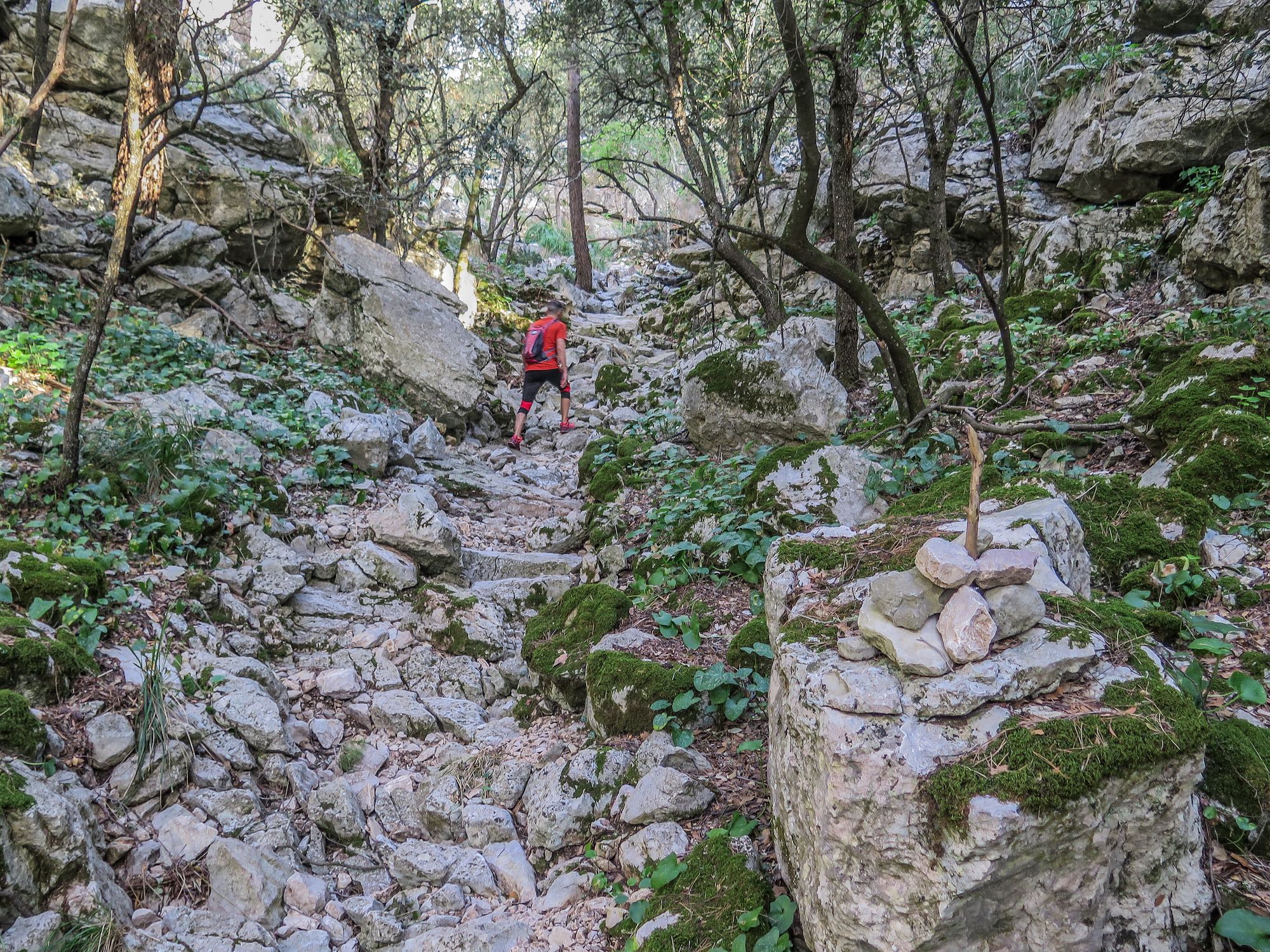 Comellar des Bous por Clot des Guix y Camí de sa Bastida