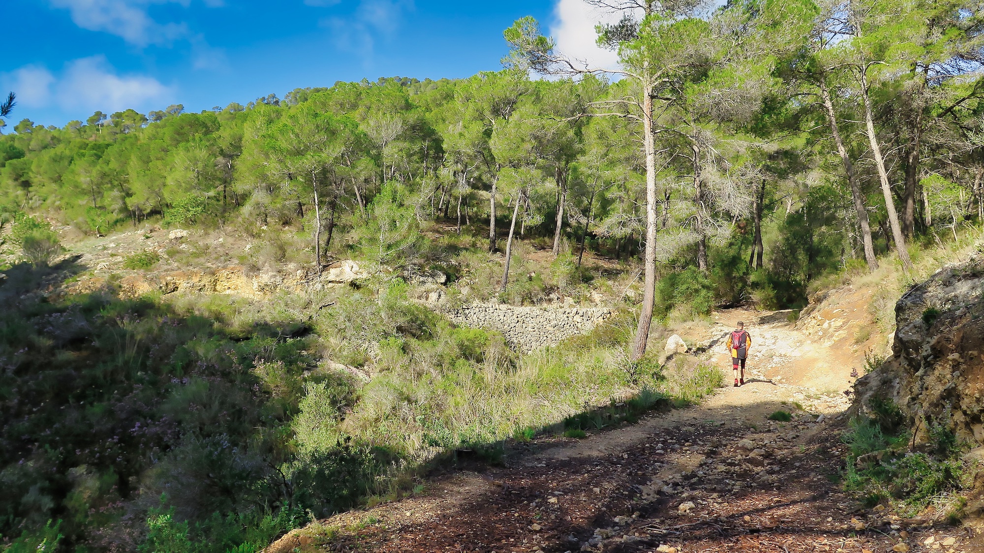 Coma de s'Arc, Coma des Mal Pas y Polvorín desde el cementerio de Génova