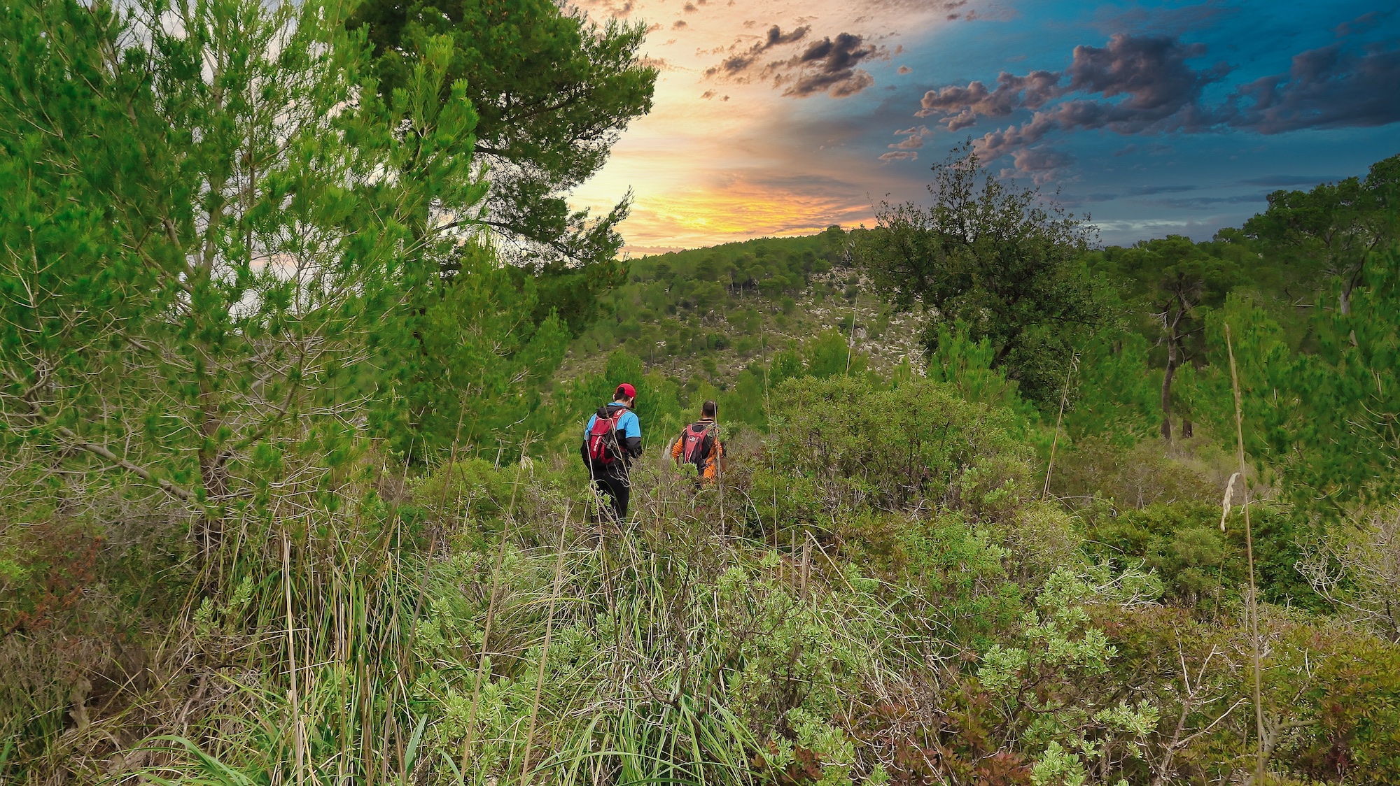 Puig des Vent, Pas de s'Arboç, Camí Carena Buscante