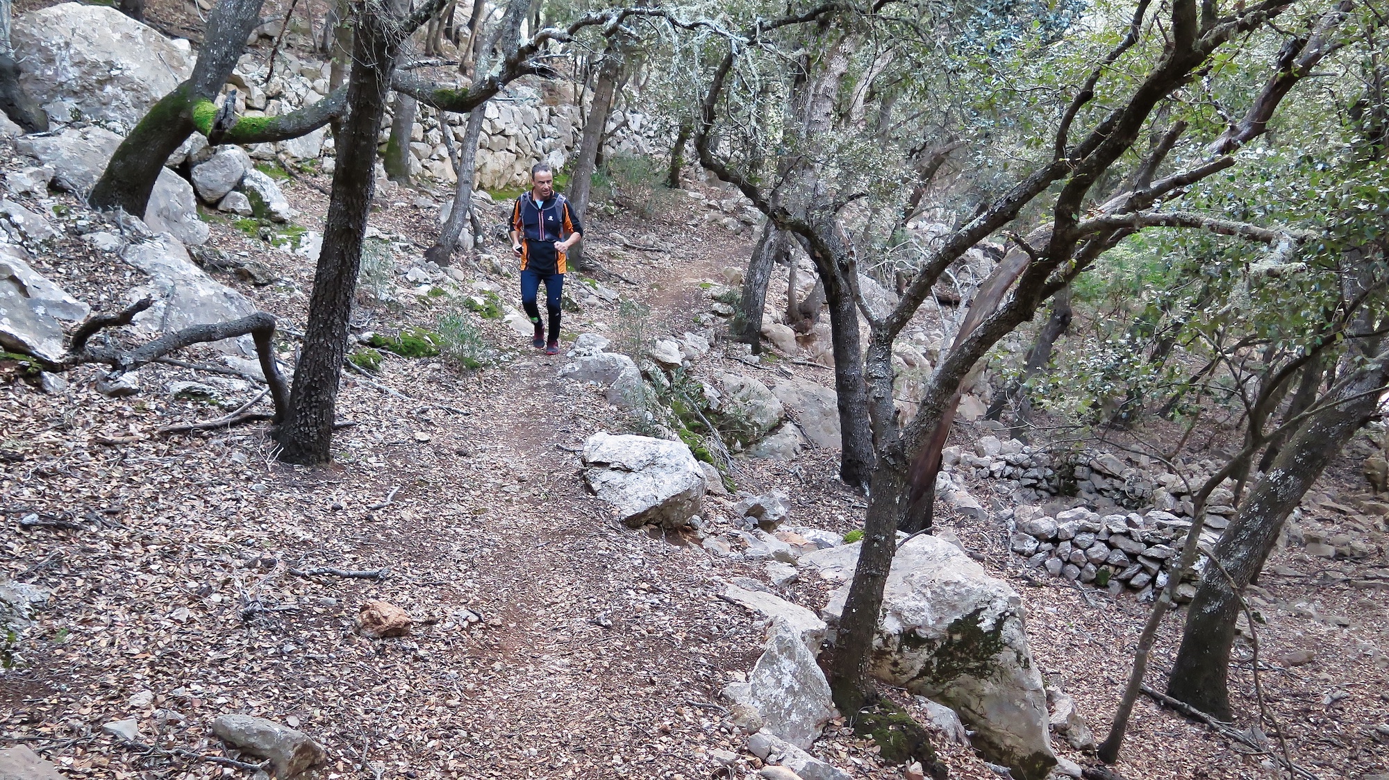 Volta per Deià : Camins de Ca'n Prohom i de Castelló