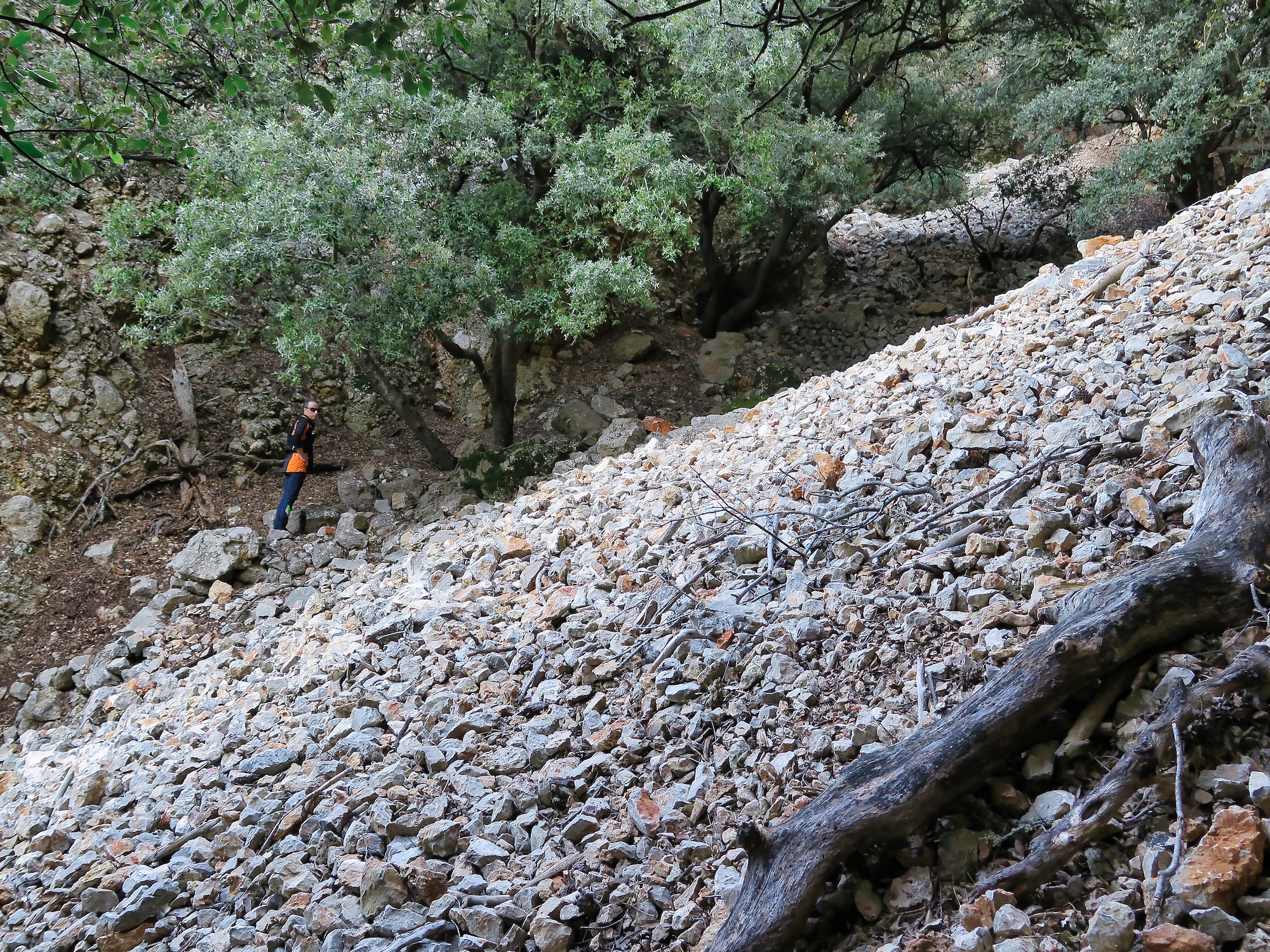 Pas des Aragalls por Camí des Correu y Planícia