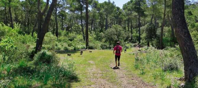 Comellar de sa Cova de s’Aigo por Camí de sa Comuna y sa Coma Gran