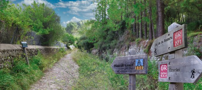 Vuelta al Pinar de Canet y a la Moleta de Son Cabaspre