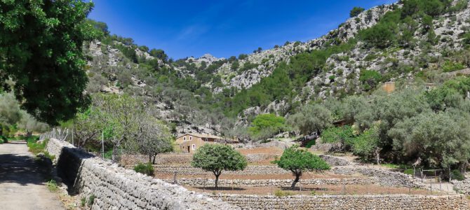 Puig dels Albellons y Pas de s’Herba Tendra