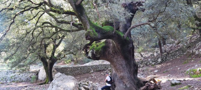 Vall d’Alcanella y Pas de’n Bisquerra desde Monnàber