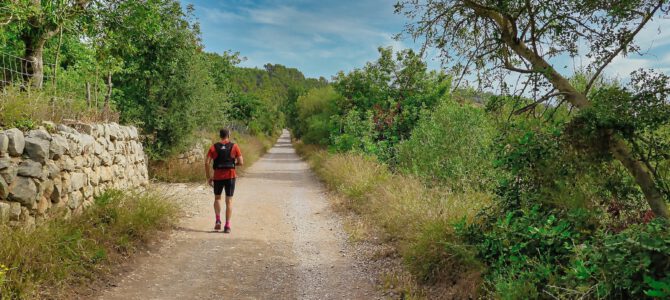 Caminos rurales de Lloseta y Comuna de Biniamar