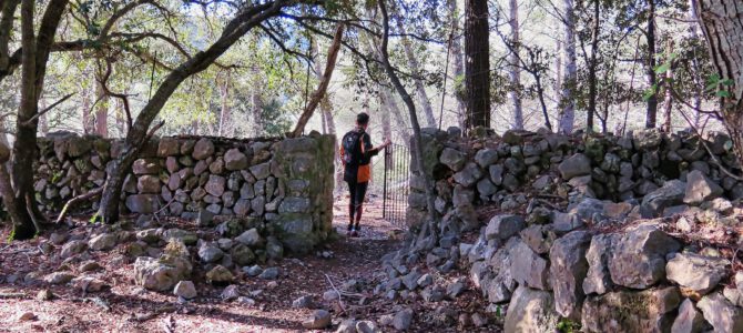 Volta al bosc des Frares