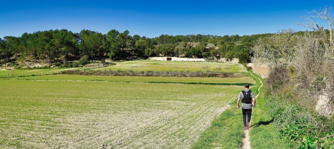 Camins de Sant Jordi
