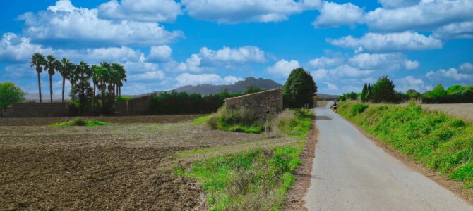 Vuelta al Puig de Reig y cima Puig de Sant Nofre