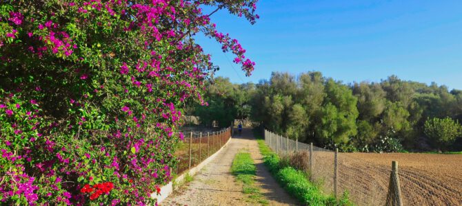 Ruta hidráulica 3 – Porreres