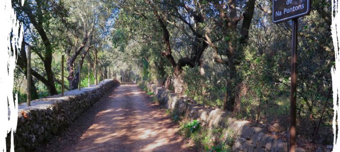 Camins de sa Talaia, des Rafal i de na Pontons