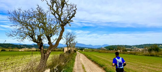 Camins de Montuiri y Puig de Sant Miquel