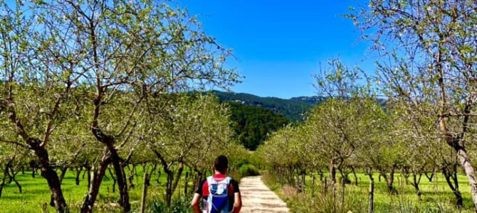 UIB a Esporles (GR221)