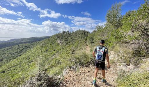 Canteras de Son Quint, Puntals Valldurgent, Camí Vell Palma a Puigpunyent