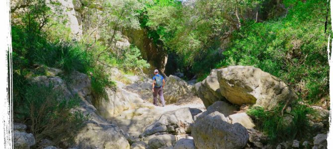 Camí des Torrent des Llorers