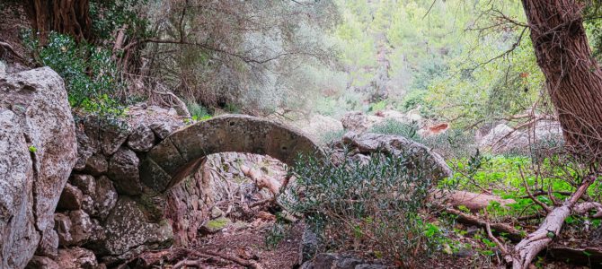 Camí des Castellàs y Camí des Barranc
