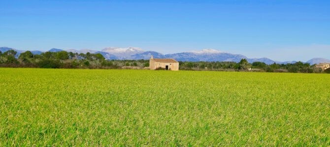 Camins de Pina, de Ses Moles a Son Llubí