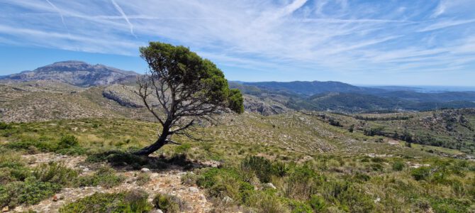 Sa Paret des Moro, Ses Basses, Comellar de Cala Sanutges