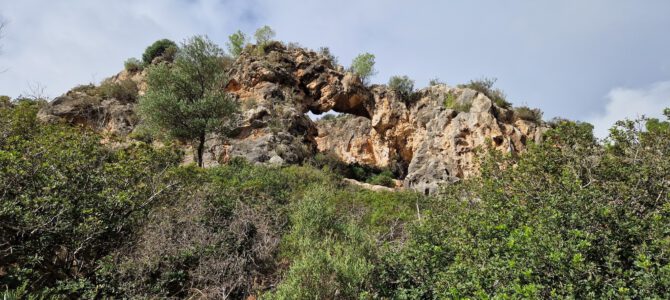 Coma de sa Font de s’Ermita, Coma de s’Hostalet, Golf de Bendinat