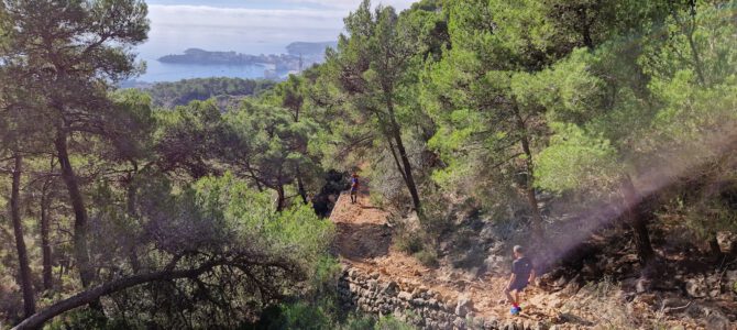 Pi de Ses Creus, Canteras na Dalmau y Ses Vinyes