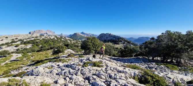 Serra d’Alfàbia por el Pas de’s Mart y Bosc de Son Palou
