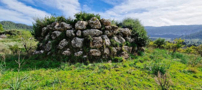 Mola de na Costitxa per Es Molí Nou, Yacimiento Son Serralta