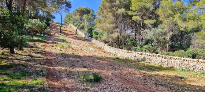 Caragol de na Beiana, Coma del Sec, Serra Mitgera, Coll de sa Creu