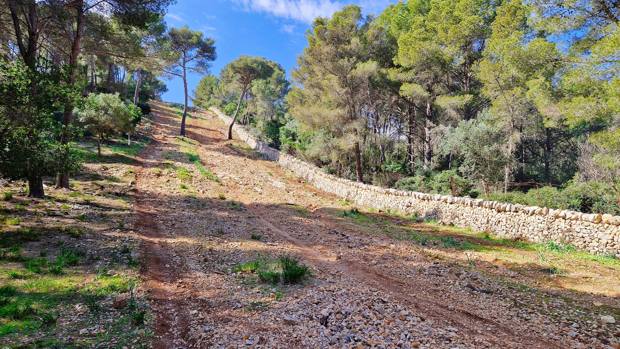 Caragol de na Beiana, Coma del Sec, Serra Mitgera, Coll de sa Creu