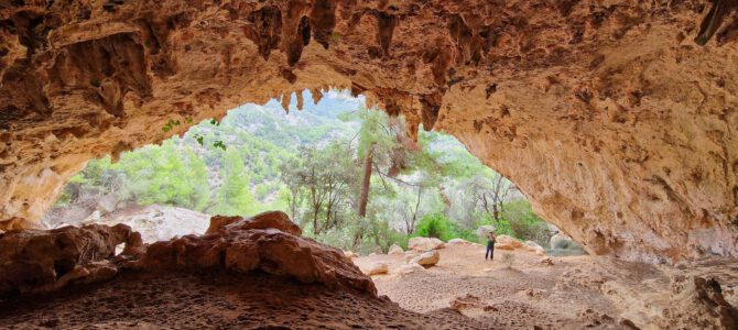 Passos de s’Alzineta, Arrel i Arrambador