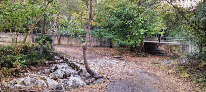 Camí Vell de Palma a Puigpunyent