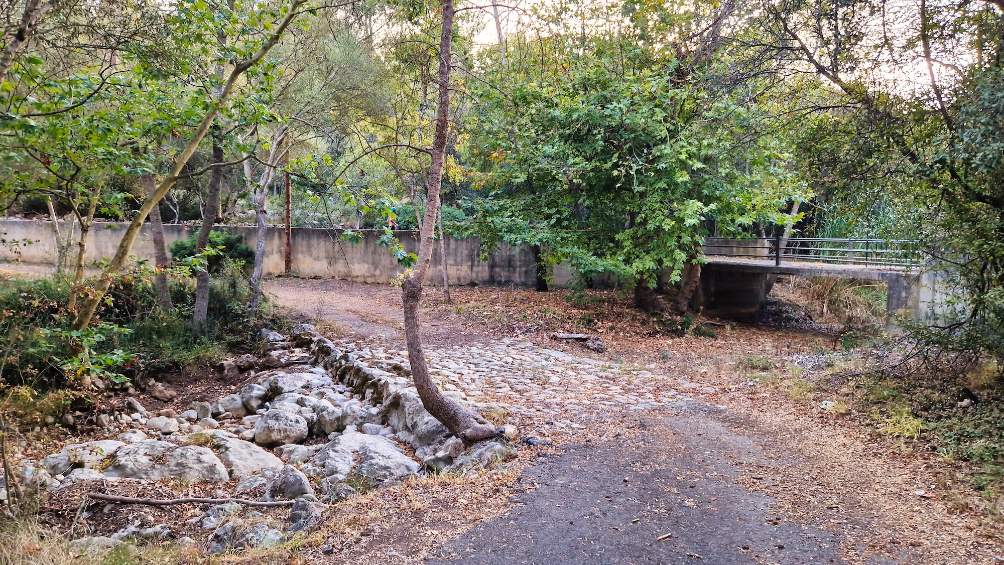 Camí Vell de Palma a Puigpunyent Camí Vell de Palma a Puigpunyent