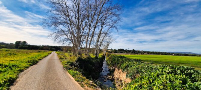 Manacor, per Son Caules, Ses Pedreres, Son Pou Vell