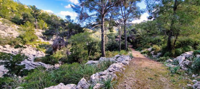 GR222 Caimari, Comellar de s’Homo, Es Fornassos